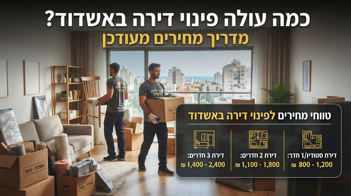 צוות מקצועי של חברת פינוי דירות באשדוד מפנה תכולת דירה בצורה מסודרת ויעילה, על רקע נוף עירוני.